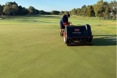 Needle-tinning-the-greens-on-The-Palms-golf-course._2