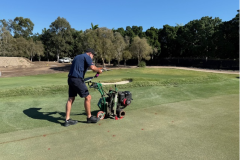 Stripping-out-the-collar-of-The-Palms-golf-course-3rd-green-in-preparation-for-green-expansion-2