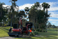 Tree-Safe-contractors-undertaking-tree-removal-and-branch-pile-cleanup-on-The-Palms-golf-course