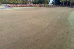 Verti-cutting-completed-on-the-small-putting-green-at-The-Pines-golf-course