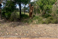 Tree-removal-completed-behind-The-Palms-golf-course-1st-green-on-Banksia-Lakes-Drive