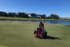 Rolling-greens-following-aeration-on-the-13th-green-of-The-Pines-golf-course