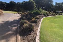 Trimming-of-grasses-on-the-small-practice-putting-green-of-The-Pines-golf-course