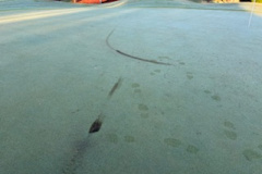 Vandalism-damage-on-the-15th-green-on-The-Pines-golf-course