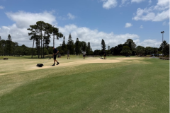 Brooming-in-greens-following-topdressing-on-The-Palms-golf-course