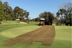 Maredo-scarifying-greens
