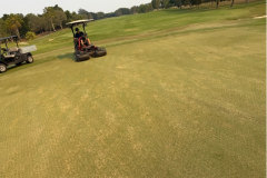 Mowing-The-Palms-golf-course-greens-at-2mm-after-scarifying-and-Ventrac-brooming-