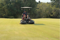 Mowing-The-Palms-golf-course-greens-at-2mm-after-scarifying