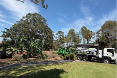 Tree-contractors-clearing-areas-for-The-Palms-golf-course-17th-tee-extension