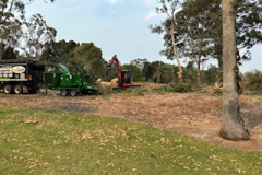 Tree-removal-for-the-new-17th-tee-on-The-Palms-golf-course-