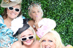 IMG_0062_20251104_044327_3600