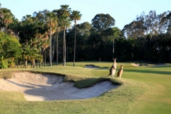 Sanctuary Cove The Palms Hole 17