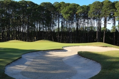 Sanctuary Cove The Pines Hole 8